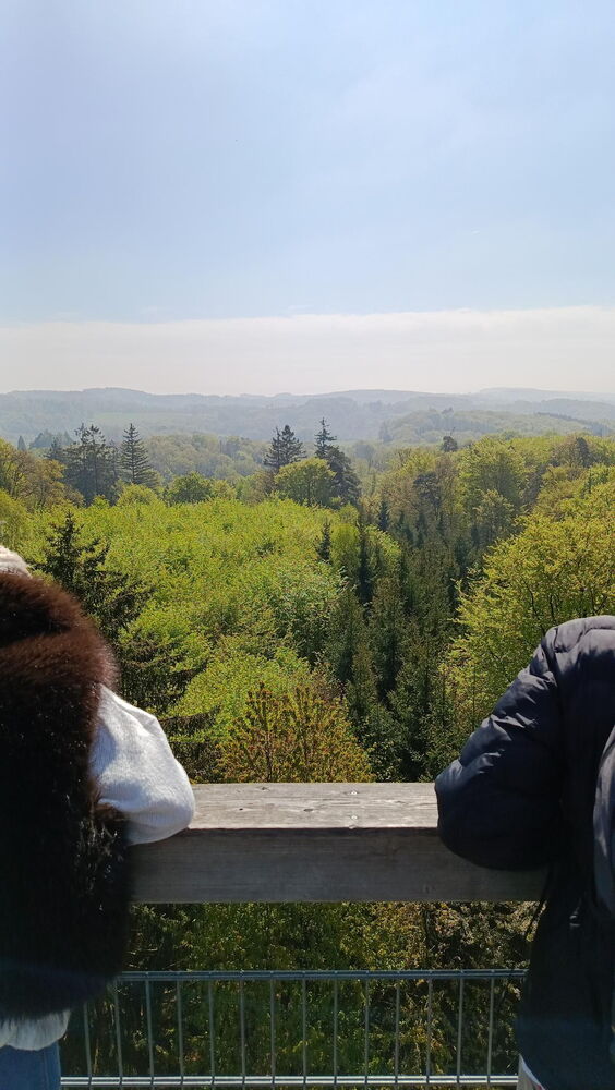 Im Vordergrund ist ein Zaun aus Holz und Metall, an den sich zwei Personen anlehnen, die mit dem Rücken zur Kamera stehen. Im Hintergrund ist ein weiter Ausblick auf die grünen Baumwipfel und den blauen Himmel.